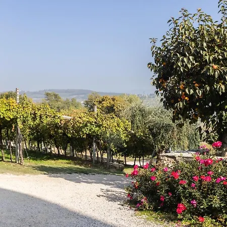 Palazzo Montanari Art & Wine Relais Κατάλυμα σε φάρμα *