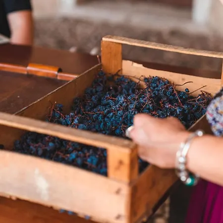 Κατάλυμα σε φάρμα Palazzo Montanari Art & Wine Relais *