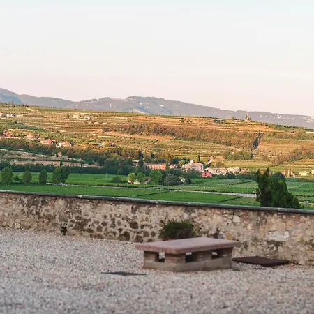 Palazzo Montanari Art & Wine Relais *