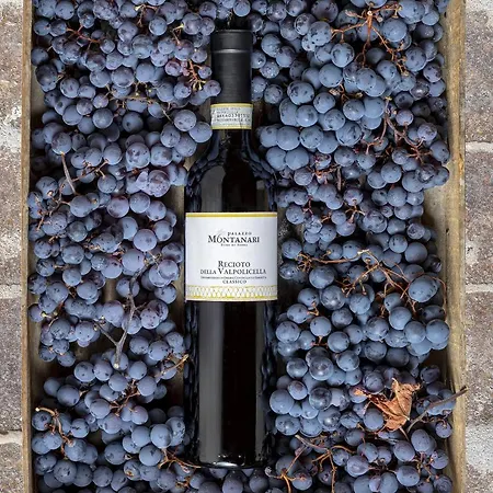 Κατάλυμα σε φάρμα Palazzo Montanari Art & Wine Relais